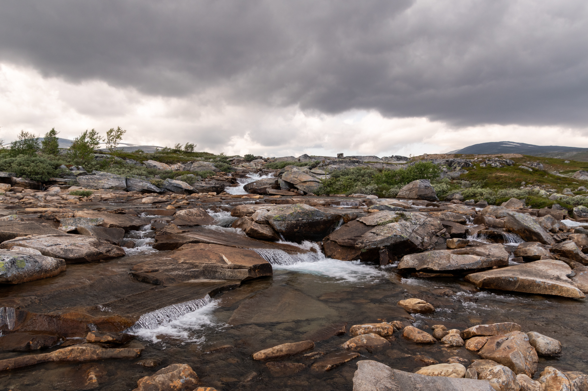 On part en rando sauvage