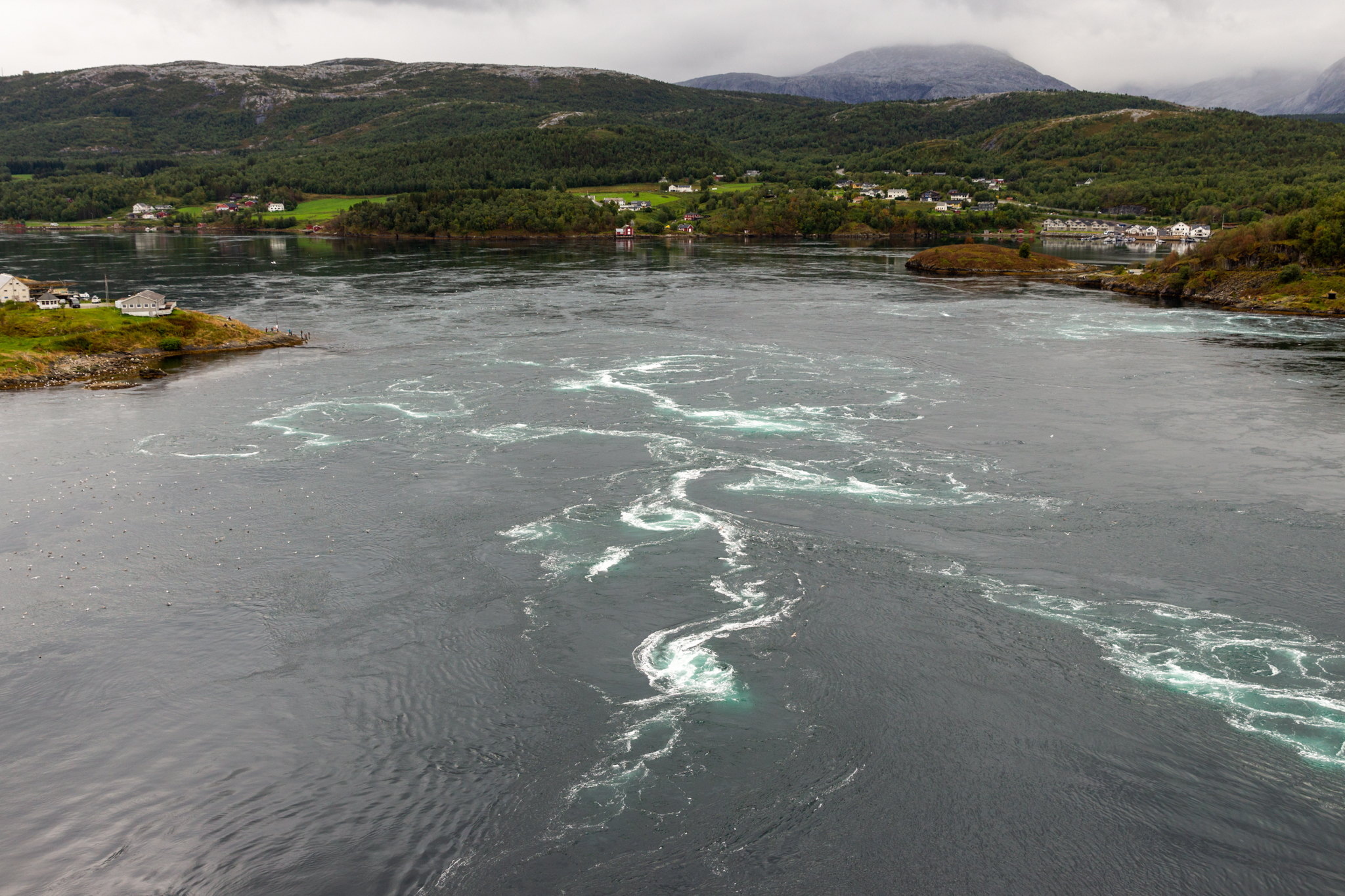 Saltstraumen