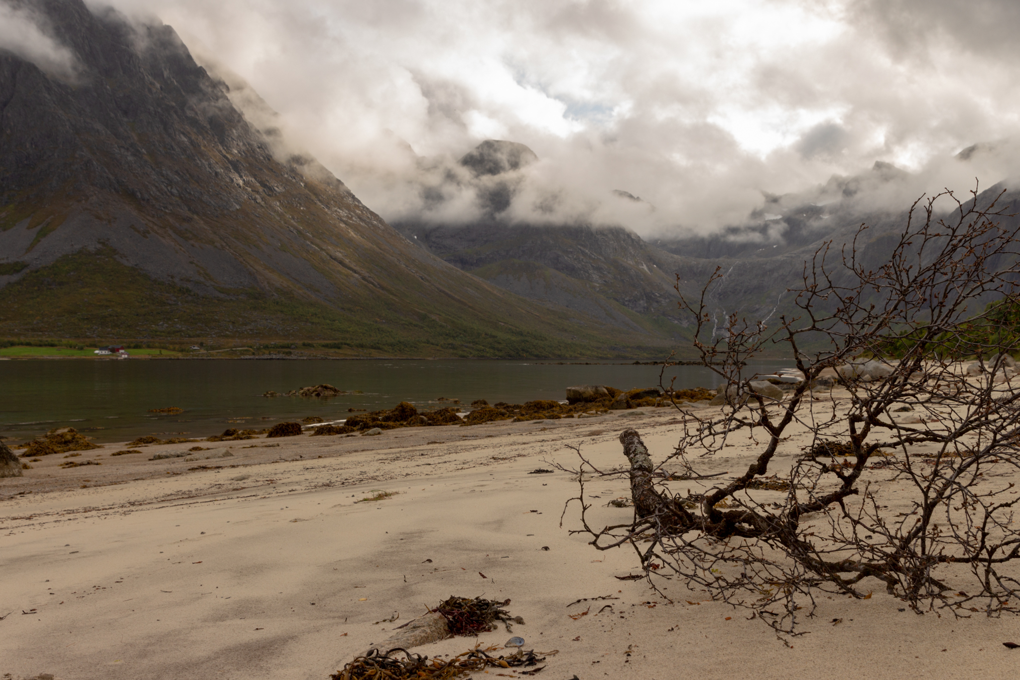 Pique-nique à la plage